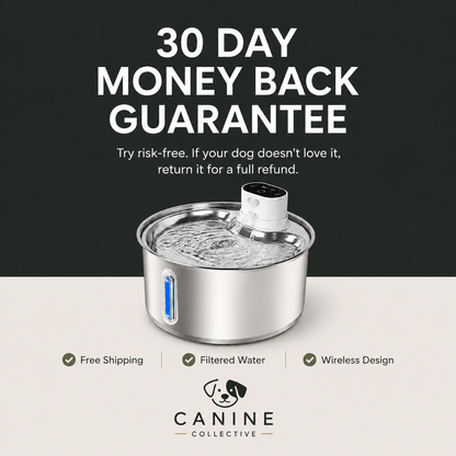 Canine Collective Water Fountain