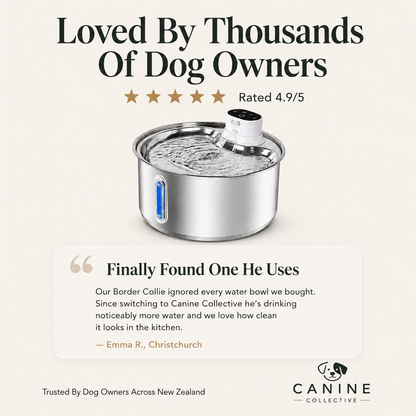 Canine Collective Water Fountain